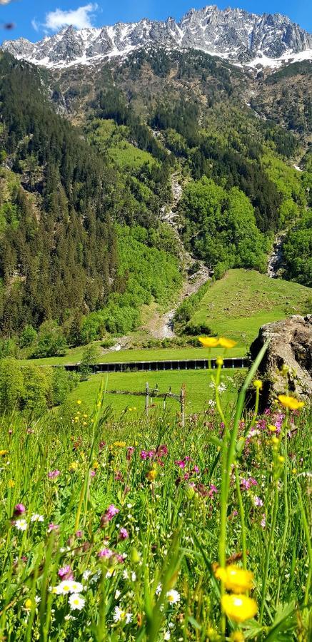 Lupshalte Villa Wassen Exterior foto